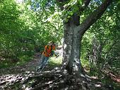 02 Al fresco nel bosco